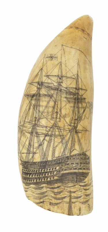 Scrimshaw tooth with detailed First-Rate Ship 