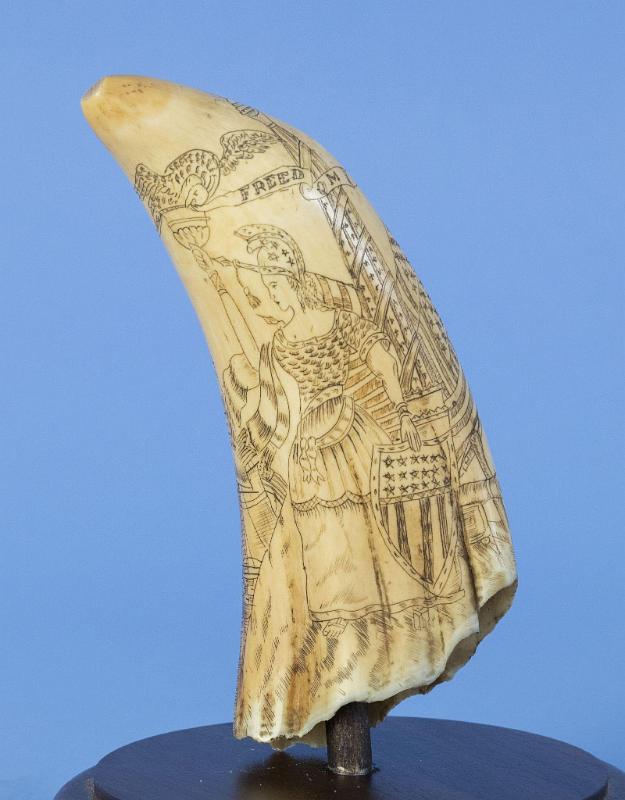 Scrimshaw Whales Tooth Attributed to Samuel W. Tenney