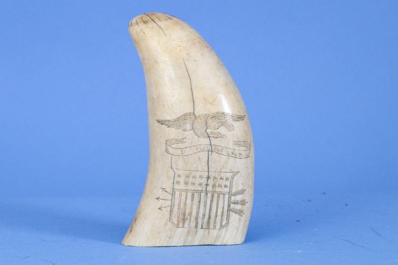 SCRIMSHAW WHALE'S TOOTH "THE NIAGARA SUSPENSION BRIDGE" & the Reverse with Eagle and American Shield  2-$3,000.
