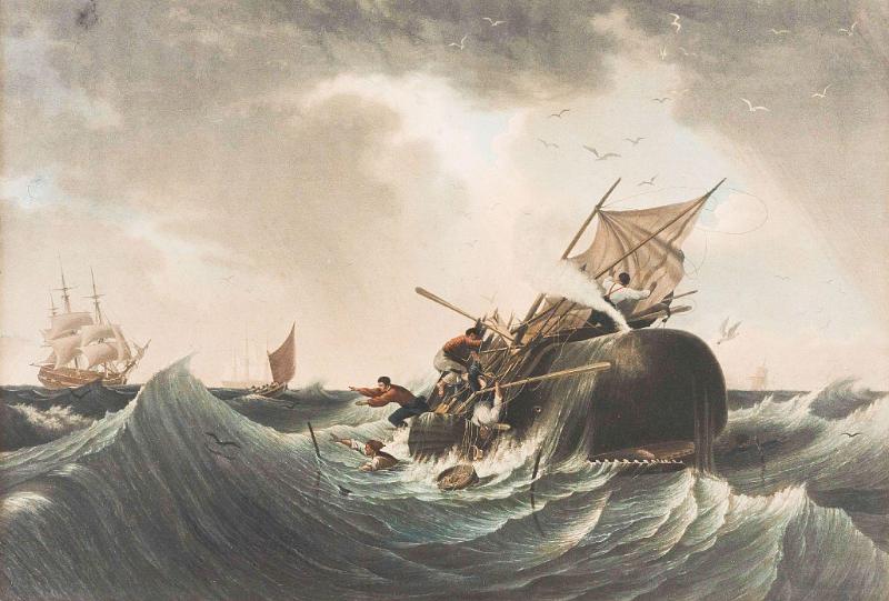 Whaling Hand colored Lithograph Titled "Peche du Cachalot" 