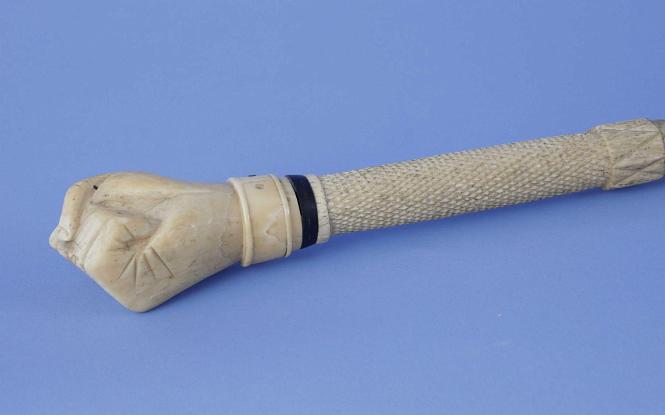 Image representation for Walking Sticks