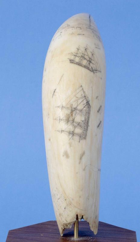 Scrimshaw Whale's Tooth with the Engraved Title "A View of Coquimbo Harbor, Attributed to Josiah of Nantucket, American, circa 1827