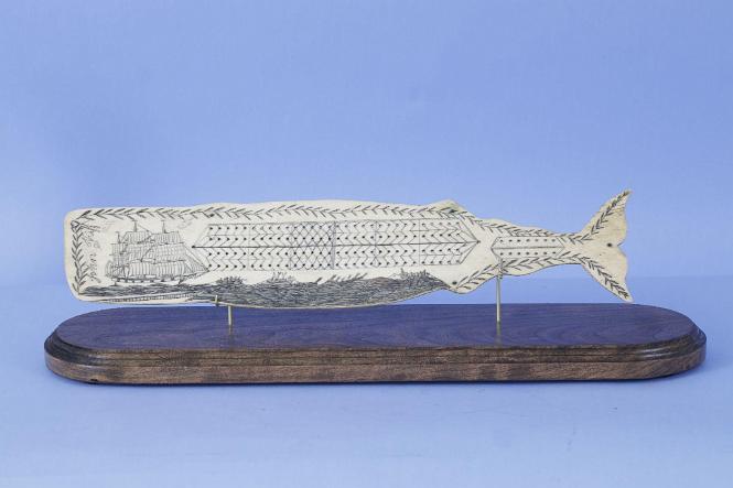 SCRIMSHAW WHALEBONE CRIBBAGE BOARD IN THE FORM OF A WHALE, American Mid 19th Century